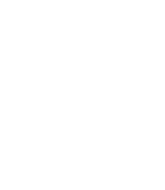 metisy